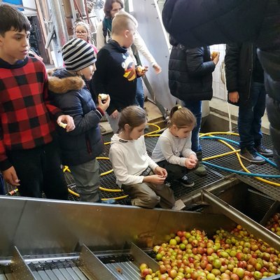 Schüler an der Apfelpresse